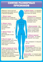 Стенд "Снятие мерок" (вариант 2) - «globural.ru» - Пермь
