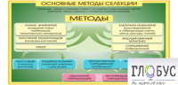 Стенд "Методы селекции и биотехнологии" - «globural.ru» - Пермь