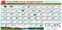 Стенд "Красная книга РФ" - «globural.ru» - Пермь