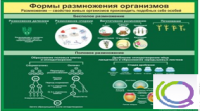 Стенд "Формы размножения организмов" - «globural.ru» - Пермь