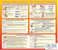 Стенд "Первая доврачебная неотложная помощь" - «globural.ru» - Пермь