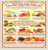 Стенд "Витамины, жиры, белки" - «globural.ru» - Пермь