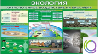 Стенд "Экология. Антропогенное воздействие на биосферу" - «globural.ru» - Пермь