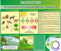 Стенд "Экология. Организация и функционирование сообществ" - «globural.ru» - Пермь