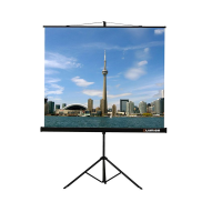 Проекционный экран на штативе Lumien Eco View (LEV-100105) 160x160 см - «globural.ru» - Пермь