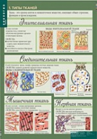 Биология 8-9 класс. Человек. (комплект таблиц) - «globural.ru» - Пермь