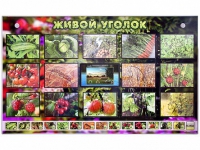 Комплект оборудования "Живой уголок" (растения) с тифлопереводом и сурдокомментариями - «globural.ru» - Пермь