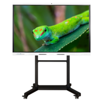 Интерактивный комплекс Geckotouch ​​​​​​​65RK - «globural.ru» - Пермь