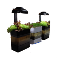 Учебная установка "Аквапоника"  - «globural.ru» - Пермь