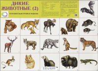 Раздаточные карточки "Дикие животные" часть 2 - «globural.ru» - Пермь