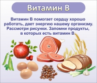 Стенд "Витамин В" - «globural.ru» - Пермь