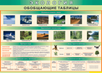 Обобщающие таблицы 1000*700 винил	 - «globural.ru» - Пермь