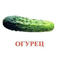 Карточки Домана "Овощи-Зелень-1" - «globural.ru» - Пермь
