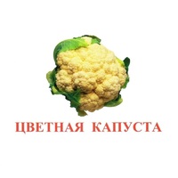 Карточки Домана "Овощи-Зелень-2" - «globural.ru» - Пермь