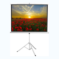 Экран на штативе DSKD-4303 - «globural.ru» - Пермь