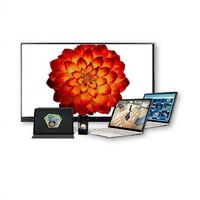 Интерактивное наглядное 3D пособие «Познание: Цветоводство» - «globural.ru» - Пермь