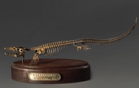 Модель скелета мозазавра Mosasaurus - «globural.ru» - Пермь