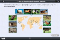 Интерактивные курсы. Биология 7 класс. Расширенный - «globural.ru» - Пермь