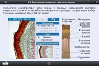 Интерактивные курсы. Биология 5 класс. Расширенный - «globural.ru» - Пермь