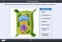 Интерактивные курсы. Биология 9 класс. Расширенный - «globural.ru» - Пермь