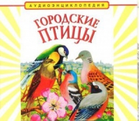 CD "Аудиоэнциклопедия. Городские птицы" - «globural.ru» - Пермь