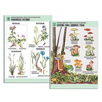 Комплект таблиц для начальной школы "Окружающий мир. Грибы. Растительный мир" - «globural.ru» - Пермь