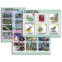 Комплект таблиц для  начальной школы "Окружающий мир. Экология" - «globural.ru» - Пермь