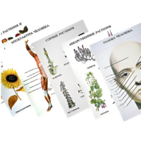 Таблицы по природоведению 1-3 класс - «globural.ru» - Пермь