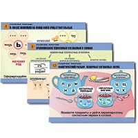 Комплект таблиц для начальной школы "Русский язык. Орфография" - «globural.ru» - Пермь