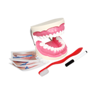 Игровой комплект "Чистим зубы" - «globural.ru» - Пермь