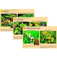 Гербарий фотографический "Ядовитые растения" - «globural.ru» - Пермь