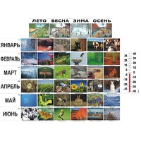 Фенологические наблюдения - «globural.ru» - Пермь