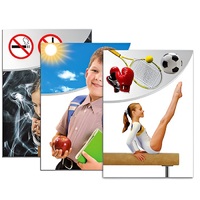 Модель-аппликация "Здоровье человека" - «globural.ru» - Пермь