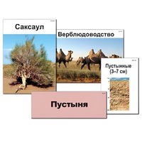 Модель-аппликация "Природные зоны России" - «globural.ru» - Пермь