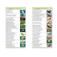 Комплект карточек (10) "Обучающий калейдоскоп. Природа" - «globural.ru» - Пермь