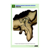 Рельефная таблица "Археоптерикс" (формат А1, матовое ламинир.) - «globural.ru» - Пермь