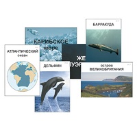 Модель-аппликация "Океаны. Знакомство" (ламинированная) - «globural.ru» - Пермь