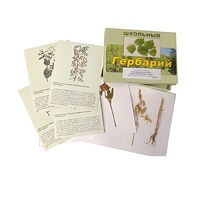 Гербарий "Систематика растений. Семейство Бобовые. Злаки" (раздаточный) - «globural.ru» - Пермь