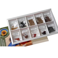 Коллекция "Плоды сельскохозяйственных растений" (вариант 2) - «globural.ru» - Пермь