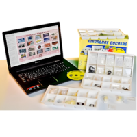 Коллекция натурально-интерактивная "Пластмассы" - «globural.ru» - Пермь