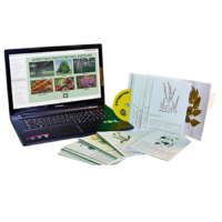 Гербарий натурально-интерактивный "Лекарственные растения" - «globural.ru» - Пермь