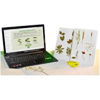 Гербарий натурально-интерактивный "Морфология растений" - «globural.ru» - Пермь