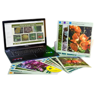 Гербарий натурально-интерактивный "Основные группы растений. Грибы. Лишайники" - «globural.ru» - Пермь