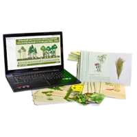 Гербарий натурально-интерактивный "Растительные сообщества. Лес" - «globural.ru» - Пермь