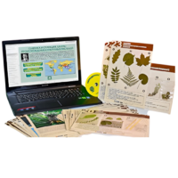 Гербарий натурально-интерактивный к курсу основ общей биологии - «globural.ru» - Пермь