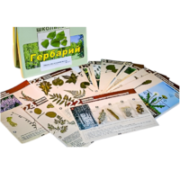 Гербарий к курсу основ общей биологии - «globural.ru» - Пермь