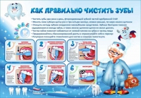 Стенд "Как правильно чистить зубы" - «globural.ru» - Пермь