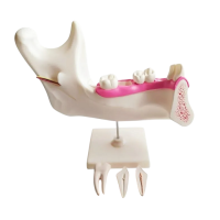 Комплект моделей - «globural.ru» - Пермь