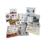 Комплект коллекций демонстрационный - «globural.ru» - Пермь