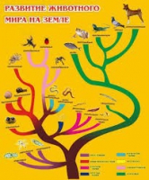 Стенд "Развитие животного мира на земле" - «globural.ru» - Пермь
